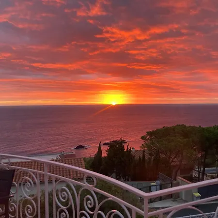 Vamos A La Playa - Cote Villa Cerbere